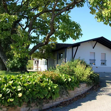 Auf Dem Weingut Am Klotz Appartement Efringen-Kirchen