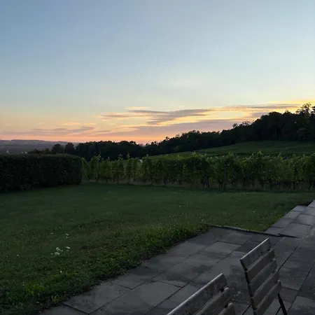 Auf Dem Weingut Am Klotz Efringen-Kirchen